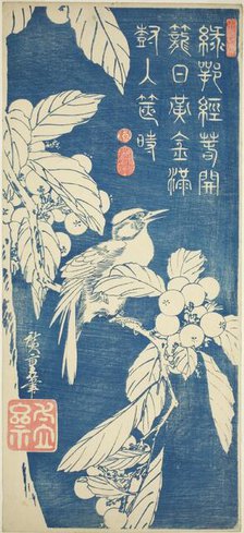 Loquat and bird, early 1830s. Creator: Ando Hiroshige.