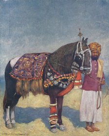 'A Horse from Jodhpur', 1903. Artist: Mortimer L Menpes.