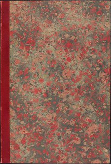 Huit Études et compositions de fleurs (Eight Studies and Compositions of Flowers), 1862. Creator: Jules-Ferdinand Jacquemart.