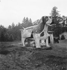 On U.S. 99 as it continues through Oregon, Lane County, Williamette Valley, Oregon, 1939. Creator: Dorothea Lange.