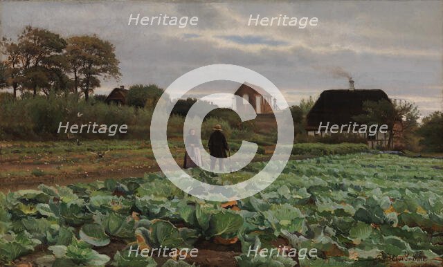 Cabbage patch, 1870-1917. Creator: Hans Smidth.