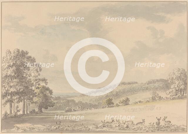 Deer Resting in Albury Park, after 1780. Creator: Anthony Devis.