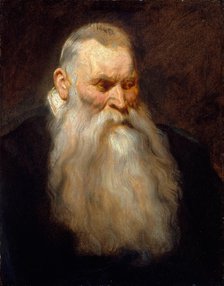 Study Head of an Old Man with a White Beard, ca. 1617-20. Creator: Anthony van Dyck.
