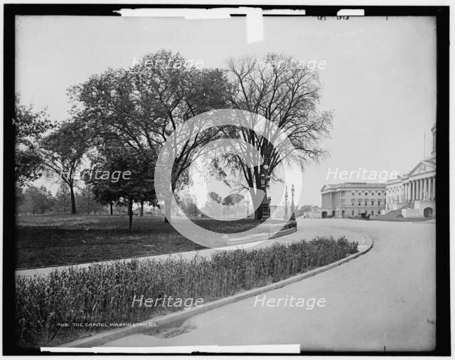 The Capitol, Washington, D.C., between 1880 and 1901. Creator: Unknown.