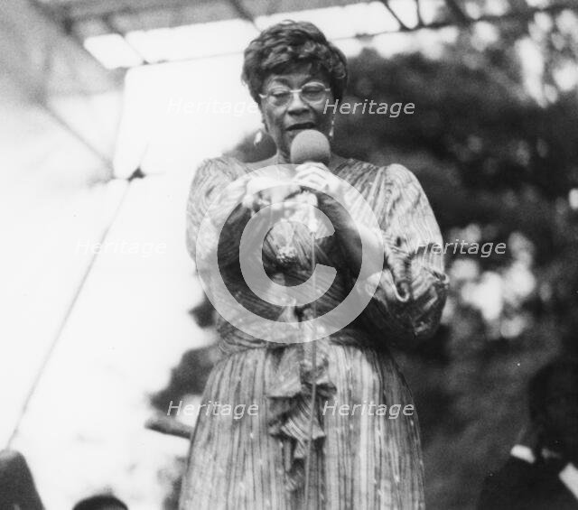 Ella Fitzgerald, Capital Radio Jazz Festival, Knebworth, Herts, 1981. Creator: Brian Foskett.