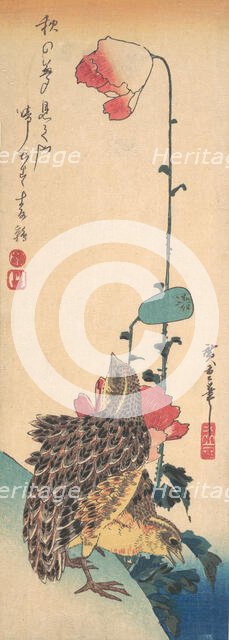 A Pair of Quails and Poppies, ca. 1835., ca. 1835. Creator: Ando Hiroshige.