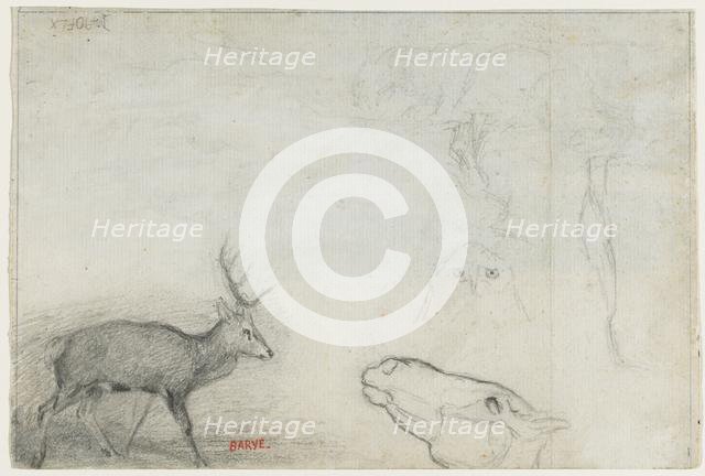 Studies of Animals (verso). Creator: Antoine-Louis Barye (French, 1796-1875).