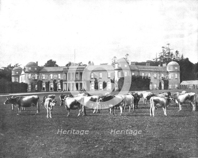 Goodwood, Hampshire, 1894. Creator: Unknown.