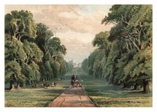 'Long Walk, Windsor Park', 1880. Artist: Unknown