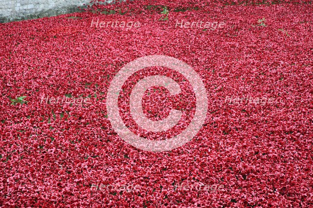 'Blood Swept Lands and Seas of Red', Tower of London, 2014.  Artist: Sheldon Marshall