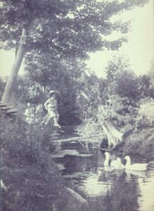 Rural scene with a young boy sitting on a tree stump watching ducks in the stream below, c1900. Creator: Emma Justine Farnsworth.