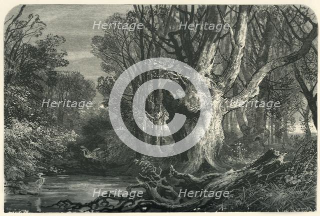 'Near Lymington, in the New Forest', c1870.