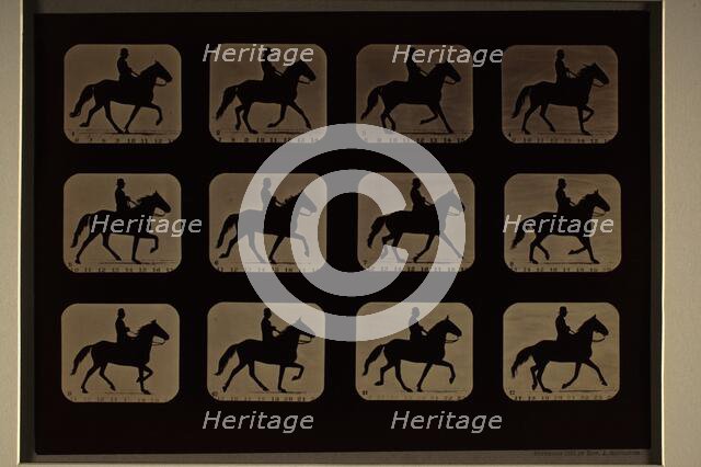 Animal Locomotion (Man W/ Derby On Horse), Printed 1881. Creator: Eadweard J Muybridge.