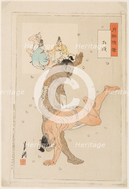 Sumo Wrestlers in Action, 1899.