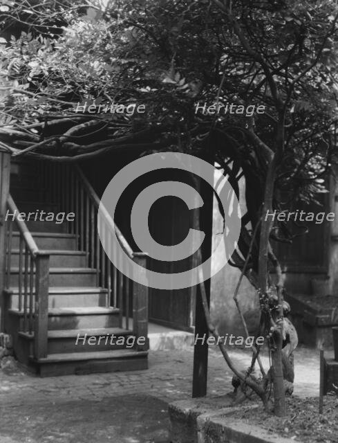 Stairway in a courtyard, New Orleans, between 1920 and 1926. Creator: Arnold Genthe.