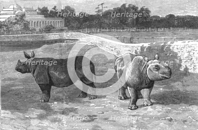 ''An Indian Prince at Home; The Palace and Grounds of the Maharajah of Dharbhanga, K.C.I.E.,In the P Creator: Unknown.