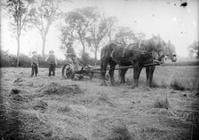 A horse drawn cross-cut mower in action near Hellidon, Northamptonshire, c1873-c1923. Artist: Alfred Newton & Sons