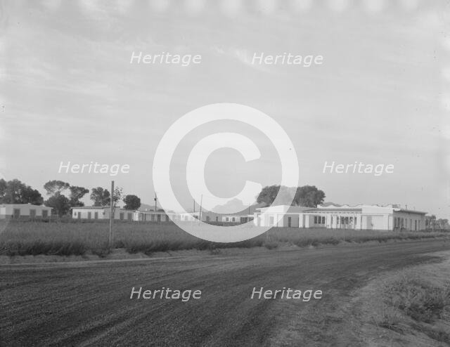 View of Resettlement Administration's part-time farms, Glendale, Arizona, 1937. Creator: Dorothea Lange.