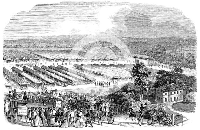 The Cattle Show, Portswood, 1844. Creator: Unknown.