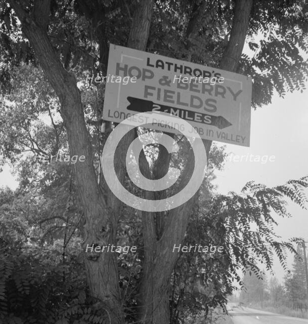 On road off main highway, leading to Roque River, near Grants Pass, Josephine County, Oregon, 1939. Creator: Dorothea Lange.