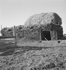 Two-year old barn, sage bush thatched (name: Hull), Dead Ox Flat, Malheur County, Oregon, 1939. Creator: Dorothea Lange.