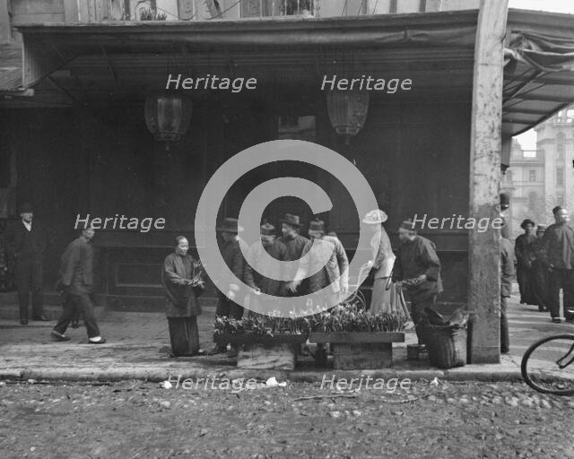 The lily vendor, Chinatown, San Francisco, between 1896 and 1906. Creator: Arnold Genthe.