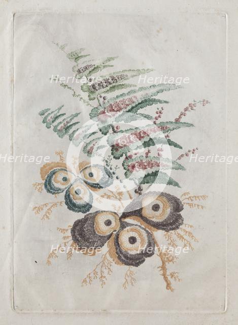 New Suite of Portfolios of Flowers Ideal to Use for Designing and Painting: Floral Fantasies, c. 179 Creator: Anne Allen (British).