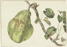 Pear on a branch, 1781. Creator: Pieter Gevers.