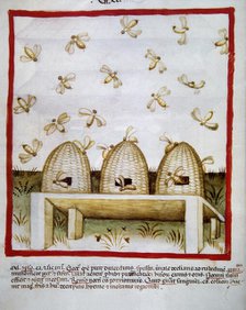 Honey, 14th century.  Creator: Unknown.