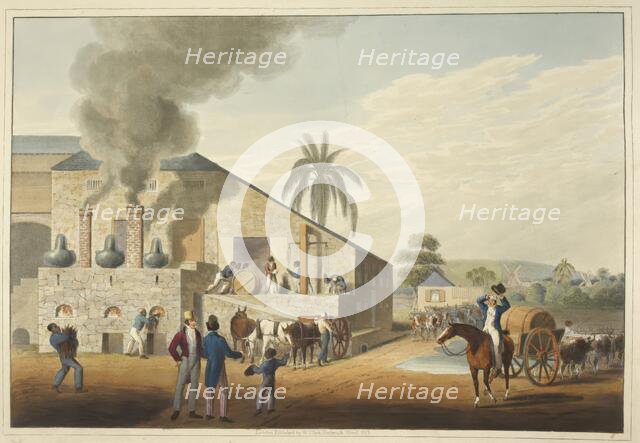 Curing-house and stills in Antigua, 1823. Creator: William Clark.