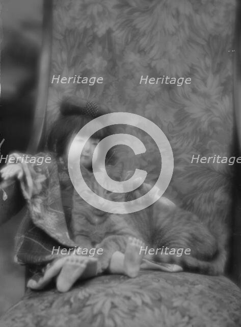 Buzzer the cat, portrait photograph, ca. 1912. Creator: Arnold Genthe.