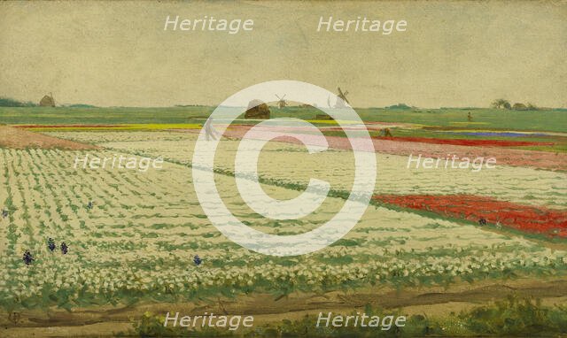 Tulip Fields, 1890-1922. Creator: Gerrit Willem Dijsselhof.