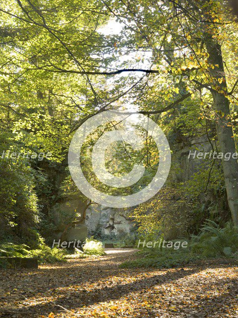 Quarry Garden at Belsay Hall in autumn, Northumberland, c1980-c2017. Artist: Historic England Staff Photographer.