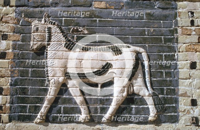 Bull, glazed bricks, Ishtar Gate, Babylon, Iraq.