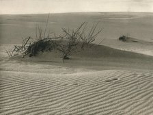 'Kurische Nehrung - Shifting dune', 1931. Artist: Kurt Hielscher.
