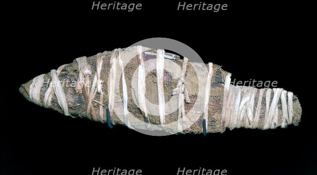 Egyptian mummy of a fish. Artist: Unknown