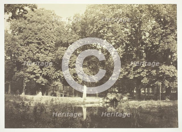 Untitled, c. 1850. [Trees near water in the Bois de Boulogne, a park in Paris].  Creator: Charles Marville.