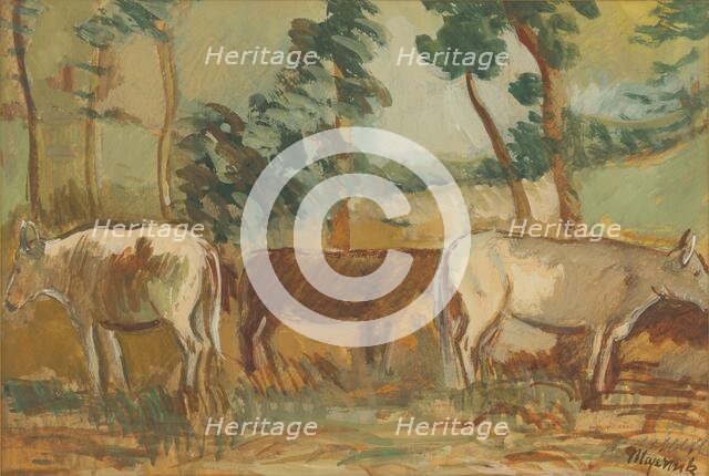 Cows on pasture, 1935-1940. Creator: Cyprian Majernik.