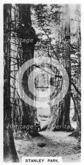 Stanley Park, Vancouver, Canada, c1920s. Artist: Unknown