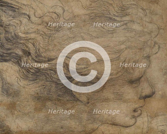 Head of an Angel. Creator: Raphael (Raffaello Sanzio da Urbino) (1483-1520).