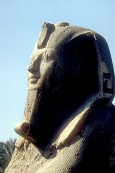 Head of Alabaster Sphinx, Memphis, Egypt, 18th or 19th Dynasty, c14th - 13th century BC. Artist: Unknown
