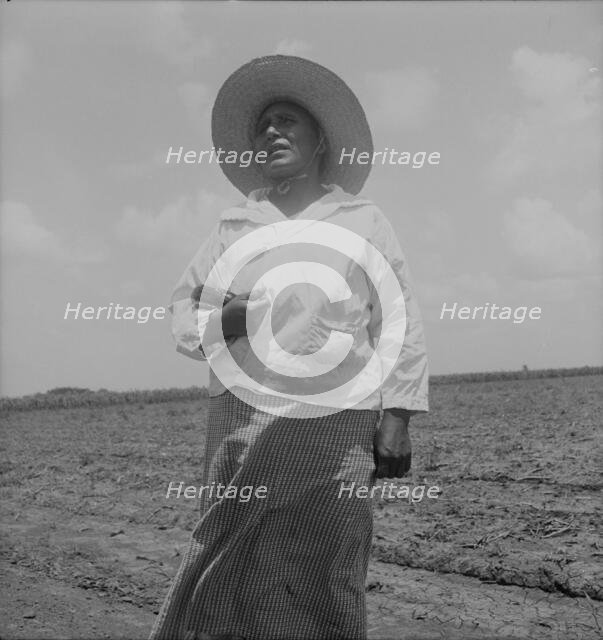 Wife of a Mexican sharecropper near Bryan, Texas, 1938. Creator: Dorothea Lange.