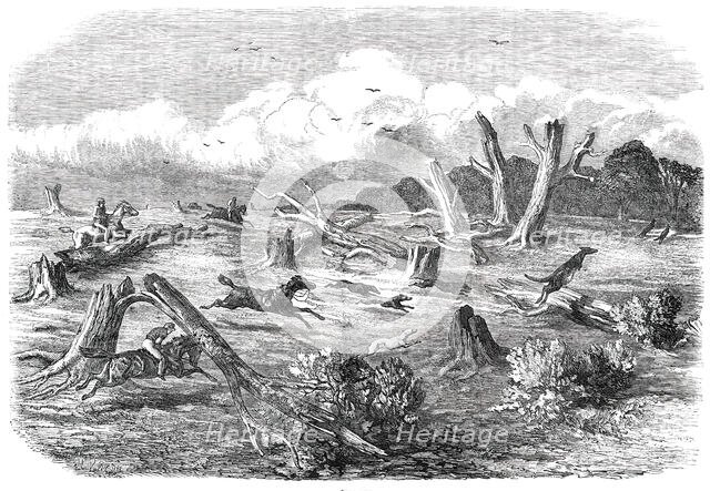 Full Cry, 1850. Creator: Unknown.