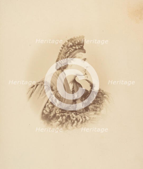 Les étoiles de jois, 1860s. Creator: Pierre-Louis Pierson.