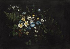 Spray of Flowers and Ferns, date unknown. Creator: Titian Ramsay Peale.