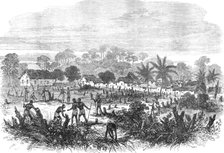 The Ashantee War: the battle-field of Abrakrampa - from a sketch by our special artist, 1874. Creator: Unknown.