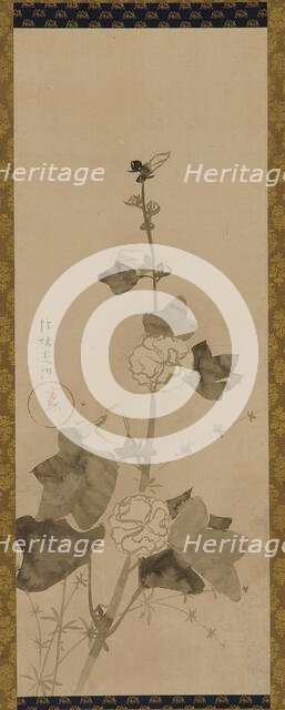 Hollyhocks, Edo period, late 17th-early 18th century. Creator: Ogata Korin.