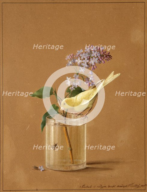 Canary Bird on a Lilac Branchlet, 1819. Artist: Tolstoy, Fyodor Petrovich (1783-1873)