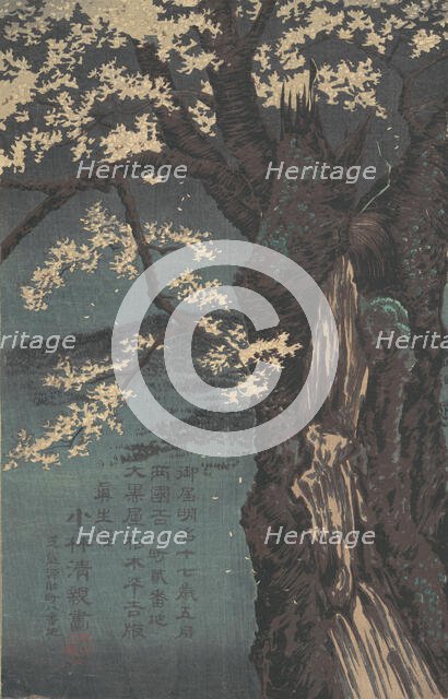Cherry Tree, dated 1874. Creator: Kobayashi Kiyochika.