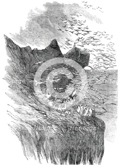 The Bass Rock, 1850. Creator: Unknown.